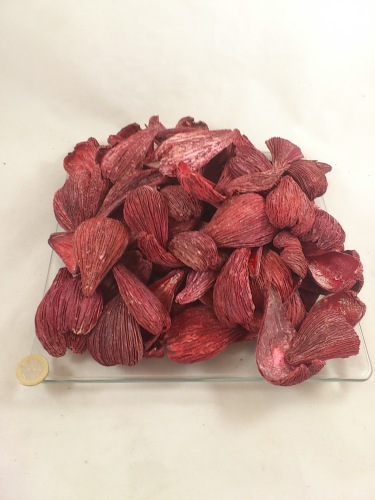 Arti pods frosted red 250 gr.